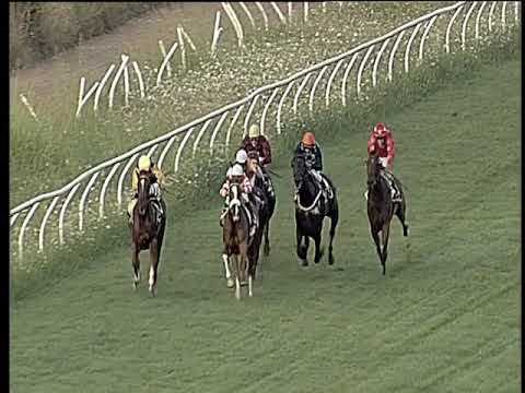 Galoppo 07/08/2019 - 3ª corsa