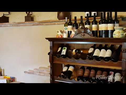 KRALJ FIZIKA - MALVAZIJA (official video)