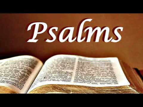 BIBLE // PSALMS Audio no music
