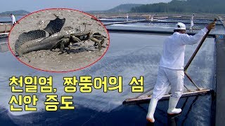 preview picture of video '전국 최대 염전, 천일염의 섬 -신안 증도 [섬섬썸]'
