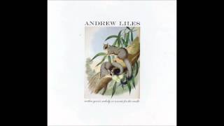 Andrew Liles - Cannula Tubes As Fine As Straw