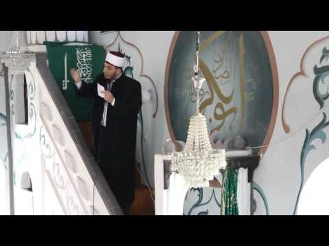 Ef Behar Mjekiqi - Pasojat e të Folurit (gjuhes)