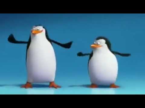 Pinguins dançando meme