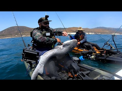 I CAN'T BELIEVE we CAUGHT and ATE this fish! @DieHardFishing  with the ASSIST. Catch and Cook