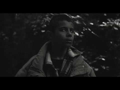 Apollo Noir - Love Connections