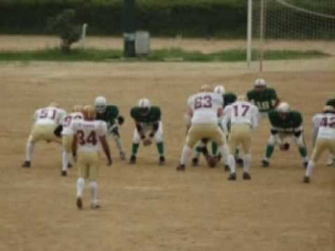 Wild dogs vs Dragons 1