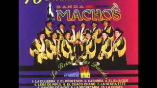Banda Machos Bilingue