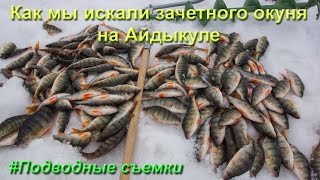 Озеро айдыкуль челябинская область зимняя рыбалка