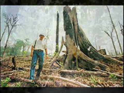 We Took The Wrong Step Years Ago video
