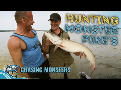 Musky Fishing in the Wilderness! | Chasing Monsters