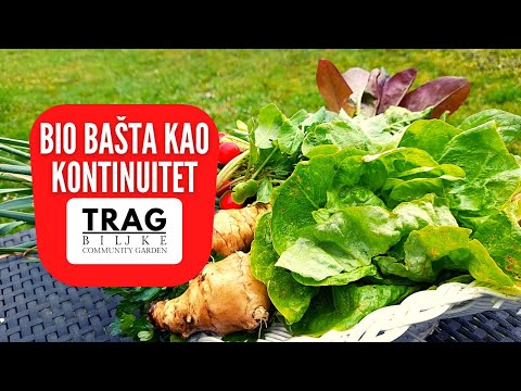 BIOBAŠTA KAO KONTINUITET (2022) [TRAG BILJKE]