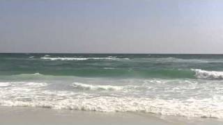 preview picture of video 'Whales Tail - Miramar Beach, FL 04-01-2011.mp4'