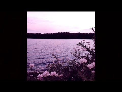 Zgaav - Valley Of Eternal Blossoms