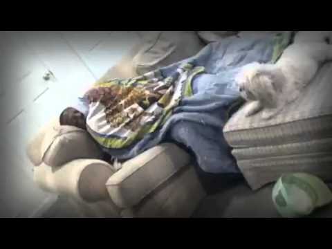 the Lazy Song video cover