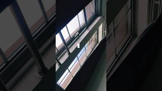 20歳の休日モーニングルーティン　　　#vlog #一人暮らし #morningroutine #日常 #休日の過ごし方