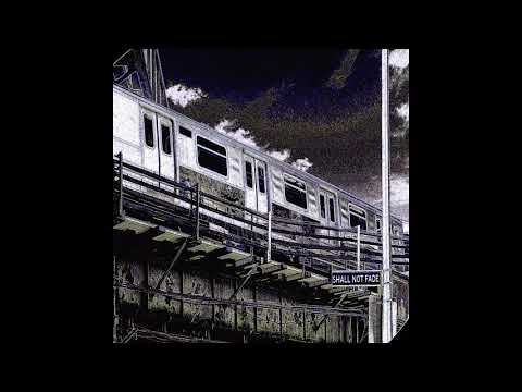 Paul Rudder - Experience