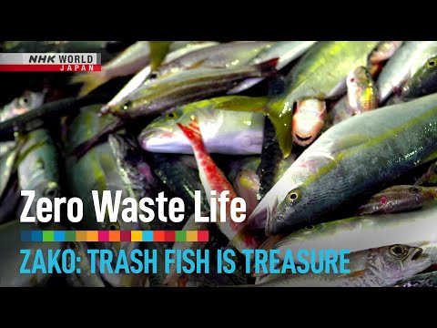 Zako: Trash Fish is Treasure - Zero Waste Life