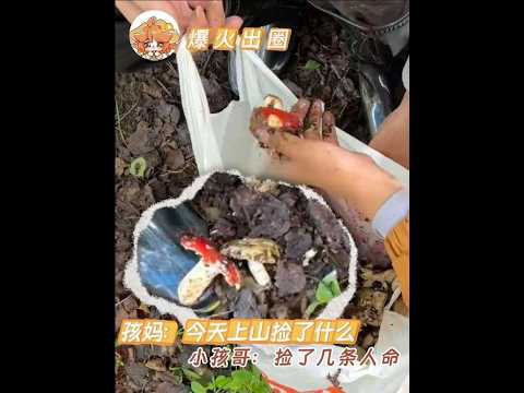 小孩哥沉默不語狂扔蘑菇，大自然的饋贈竟成搞笑現場！ #菌子 #小孩哥 #大自然的饋贈 #搞笑 #萬萬沒想到