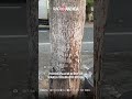 Home 22 Video thumbnail