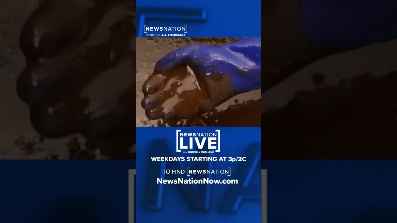 Why is oil priced globally? Here you go, Geraldo - asked & answered by Doug Flynn, CFP on NewsNation