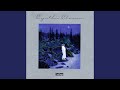 Silent Night (With Stand Still and Wait)