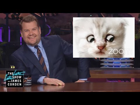 特朗普需要貓咪律師嗎？ (Does Trump Need the Cat Lawyer?)