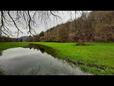 Der Harz 2023 / Harzer Wandernadel / Wandern entlang des Selketal - Stieges. (18.04.2023)