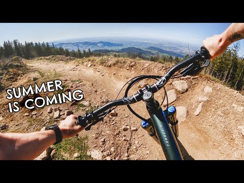 Alpirsbacher Schwarzwaldtrail in Sasbachwalden - Bike Trip mit Toffer | Giant Trance | Freeride Flo
