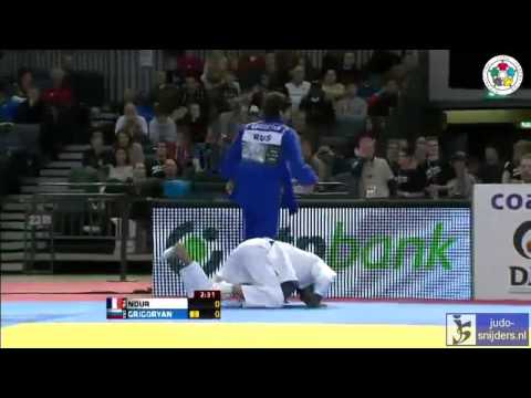 Judo 2013 Grand Prix Dusseldorf: Nour (FRA) - Grigoryan (RUS) [-60kg] bronze