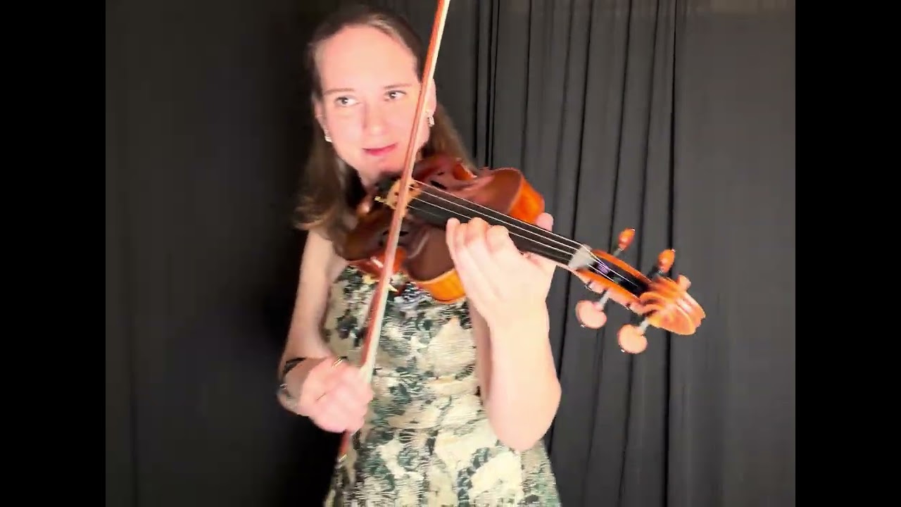 Promotional video thumbnail 8 for Wake Forest Violin