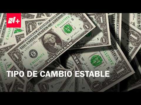 Precio del dólar y la situación de los bancos hoy 23 de febrero de 2026 - Despierta