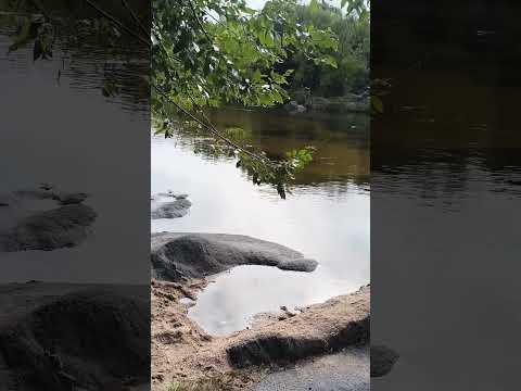 Cura Brochero Córdoba