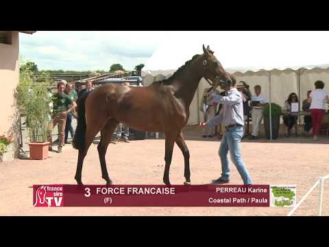 Concours Cercy 2017 - Lot 3 - Force Francaise