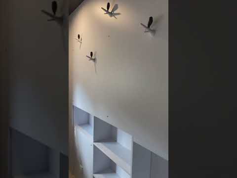 Azur résidence mobile Miniature vidéo YouTube 8