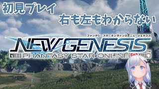 【ファンタシースターオンライン2 ニュージェネシス (#PSO2NGS)】#1　初見プレイ 右も左もわからない【一身アロン（いつみあろん）】