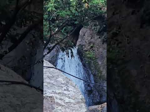 Las pacayas La Laguna Chalatenango #parati #viralvideo