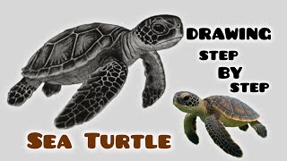 How to Draw a Sea Turtle 🐢 | Easy Step by Step Tutorial