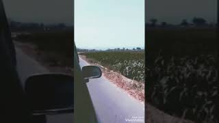 Download lagu Story w.a JUDIKA cinta karna cinta.. mp3 Download lagu Story w.a JUDIKA cinta karna cinta.. mp3