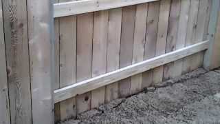 preview picture of video 'Cypress, TX Wood Fence and Deck Staining Tomball'