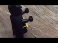Cat Music Batman Remix