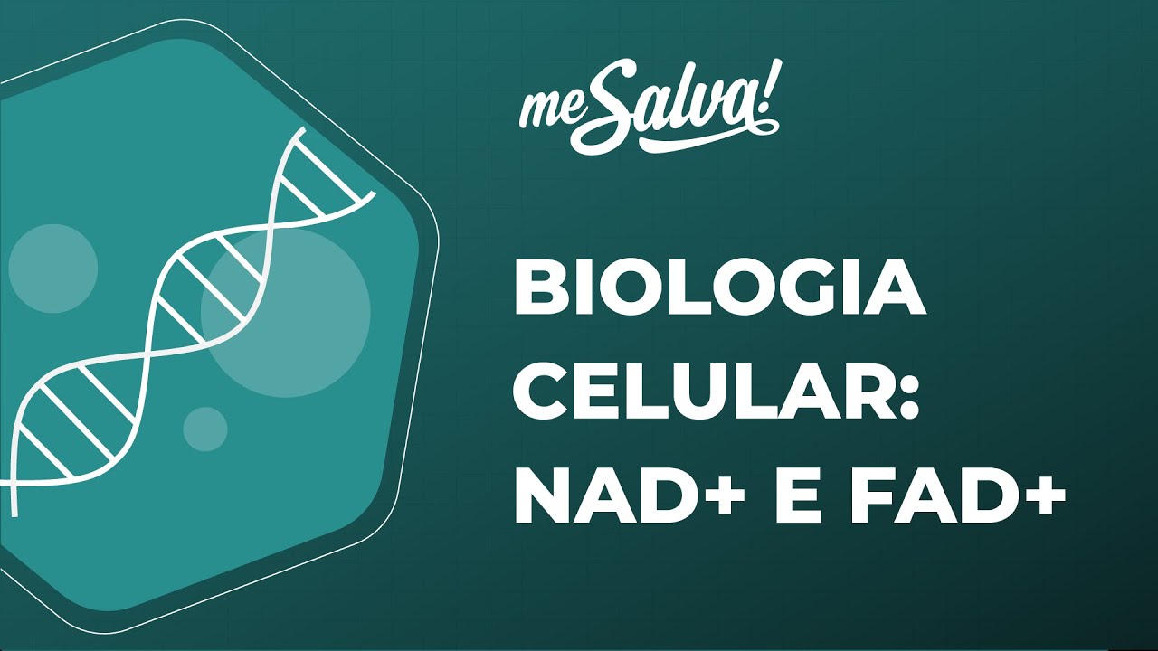 Biologia Celular – Metabolismo energético | Carreadores energéticos NAD+ e FAD+ - Biologia Básica