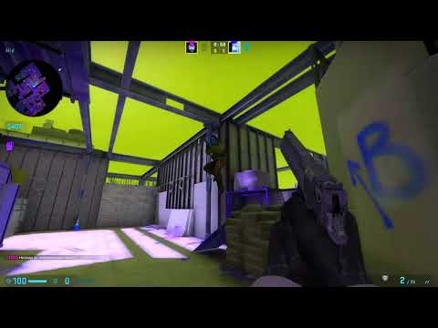 Zenka, are you crazy?