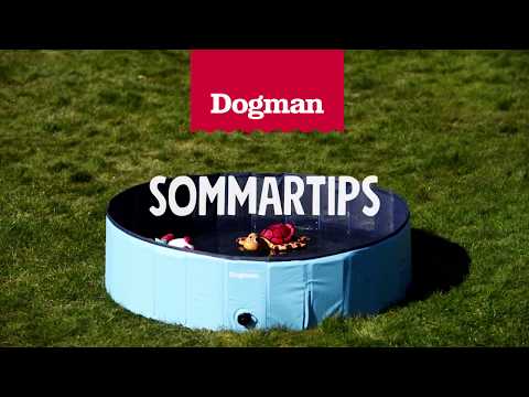 Sommartips pool