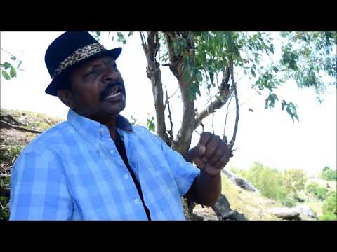 TANTATION_YAR-EMILIEN (DARFMANPROD)