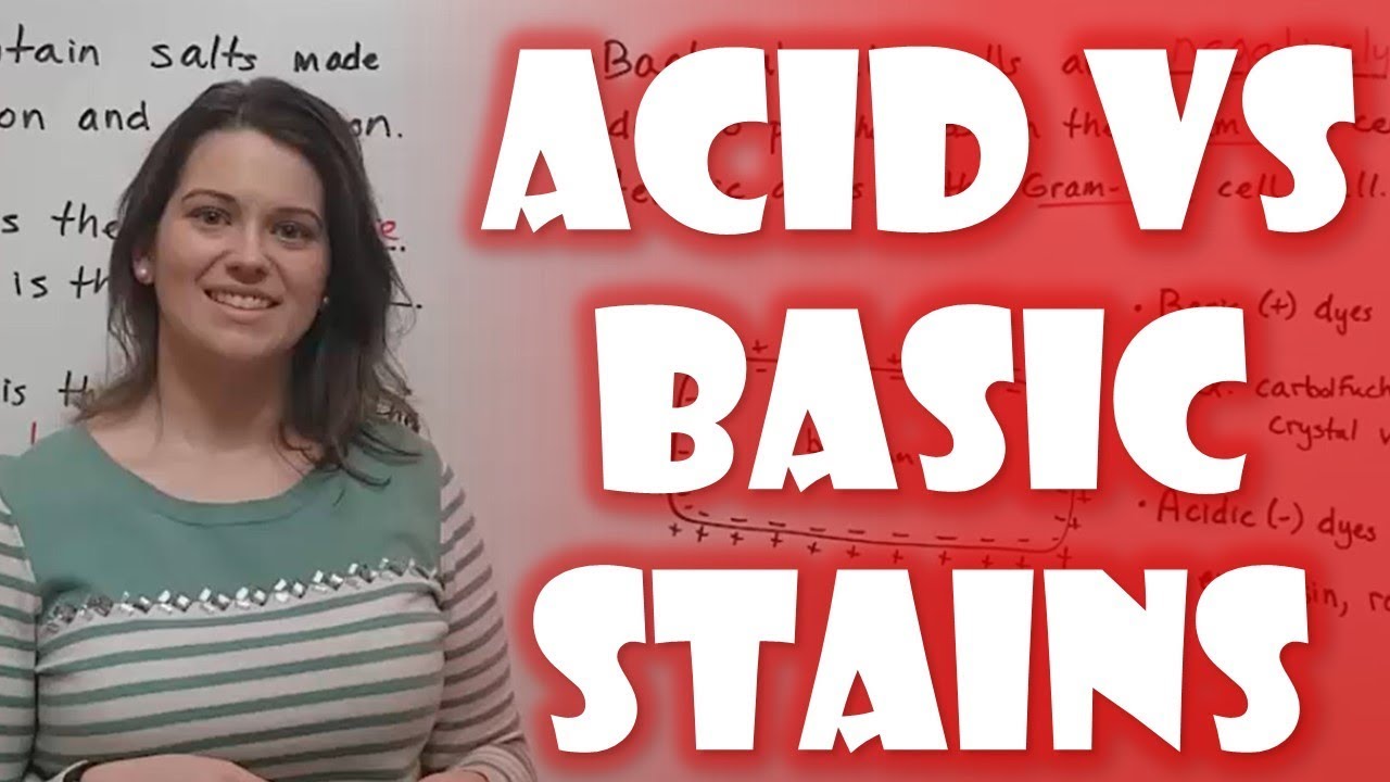 What are acidic and basic dyes with examples? More REF