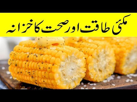 Benefits of Eating Sweet Corn | Makai | Makai khane ke kuch Fayde