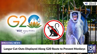 Langur Cut-Outs Displayed Along G20 Route to Prevent Monkeys