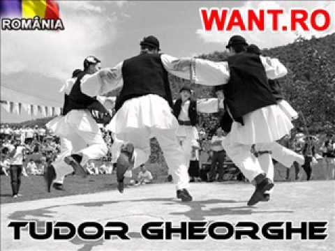 Tudor Gheorghe - Sarba de la Lelesti.flv