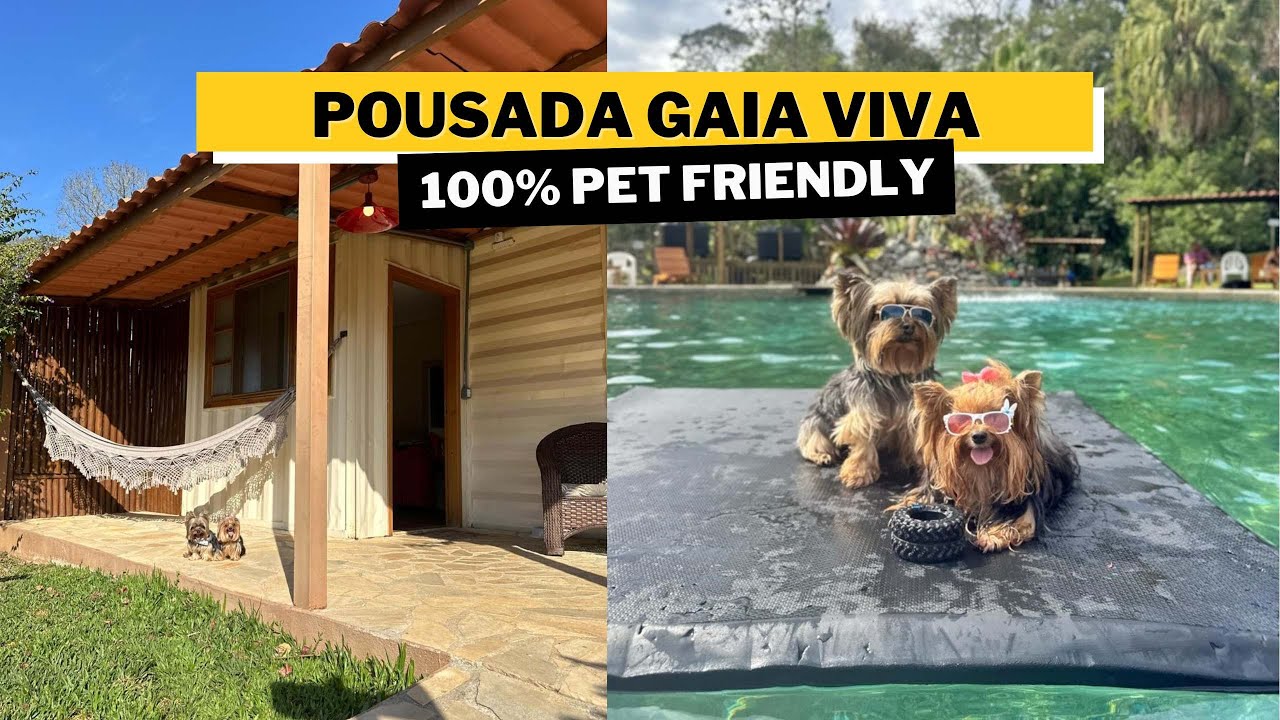 Pousada 100% pra cachorro que aceita humanos