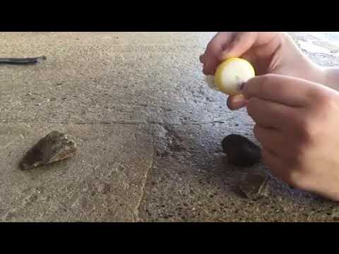 Raconte histoire, le jeu des cailloux